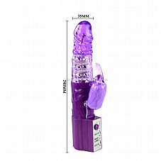 ������� ���� �� ������ �������� digi-digi-004101