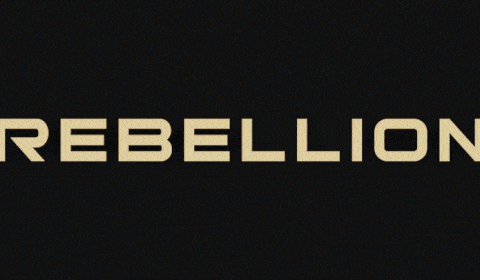 לכל מוצרי Rebellion Reign שבמלאי ליחצו כאן 4096_עבודת יד.gif (480×280)
